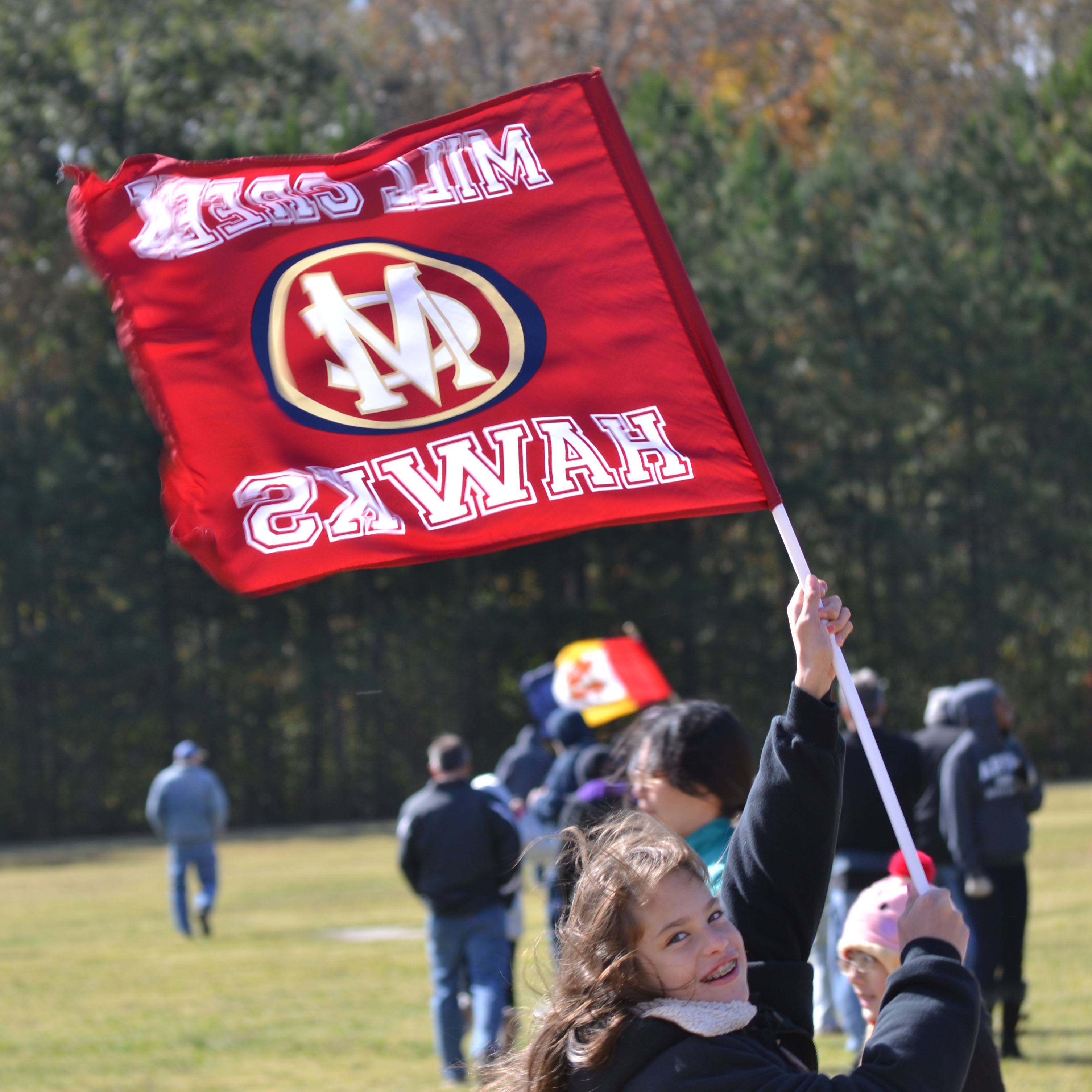 Stick Fan Flags - All sizes — product view 1