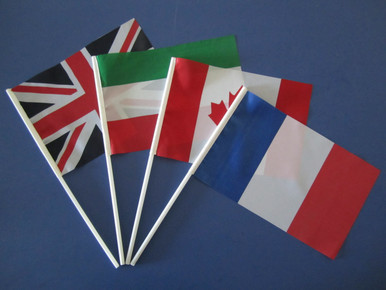 Stick Fan Flags - All sizes — product view 6